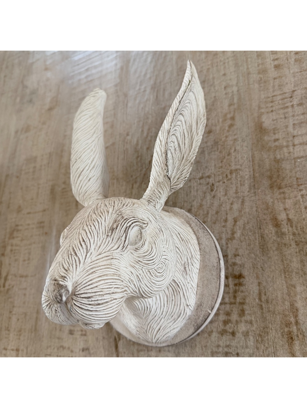 White Rabbit Hare Head Wall Mount Faux Taxidermy Rustic Cottage Decor